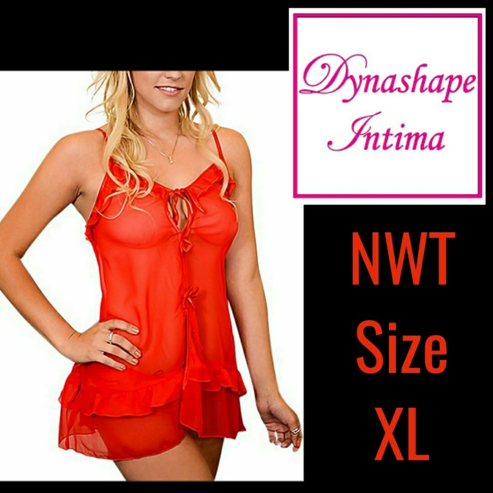 NWT Babydoll / Lingerie Sheer Size XL